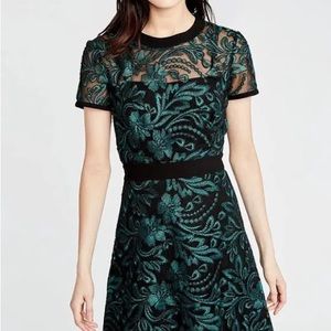 RACHEL Rachel Roy Emerald Lace Dress